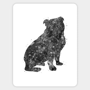 English Bulldog Puppy black and white Sticker